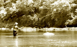 Fly fishing in a mountain river